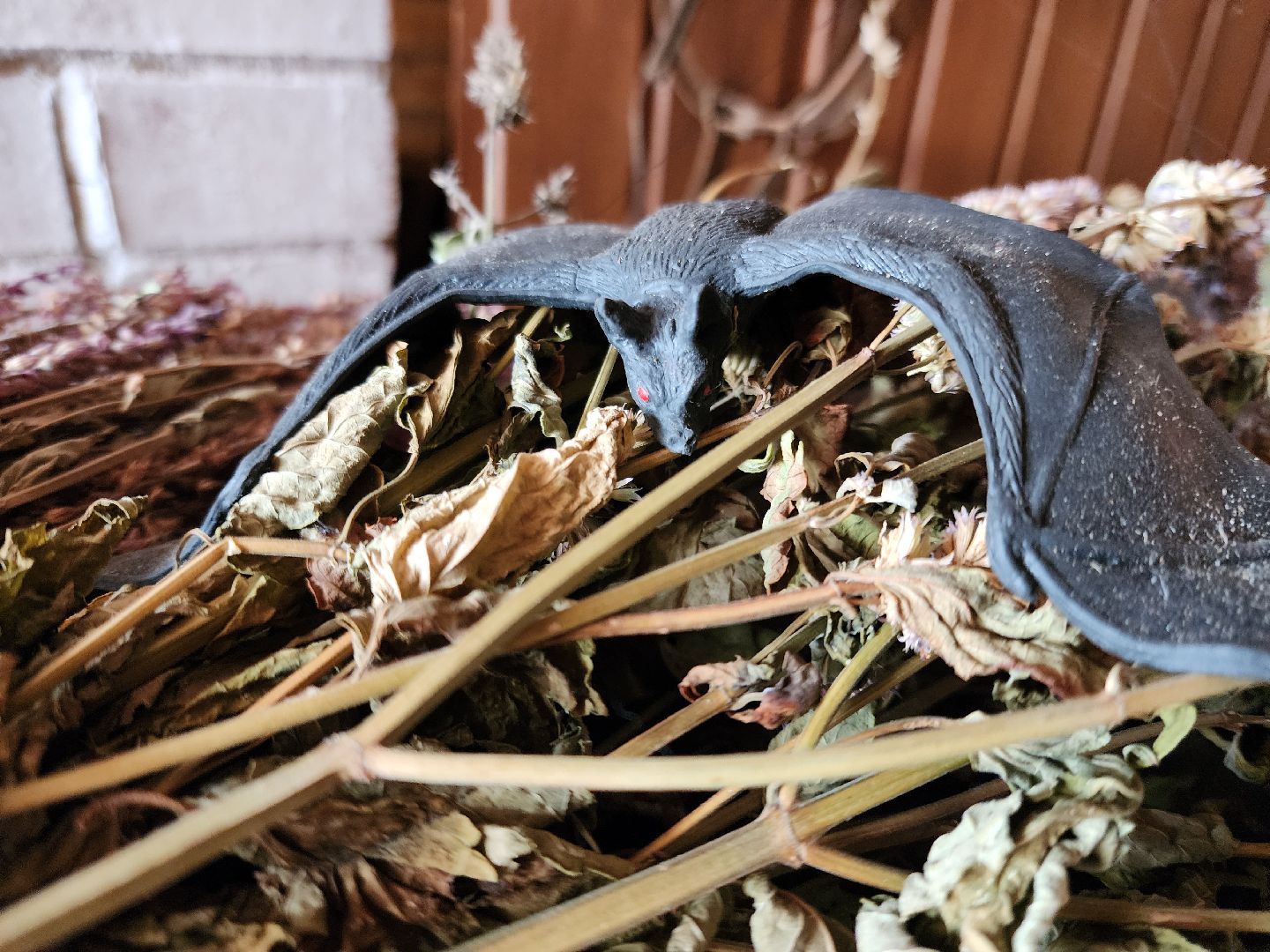 Ногинск, Общество, Дети, Культура, развлечения, Сказки,