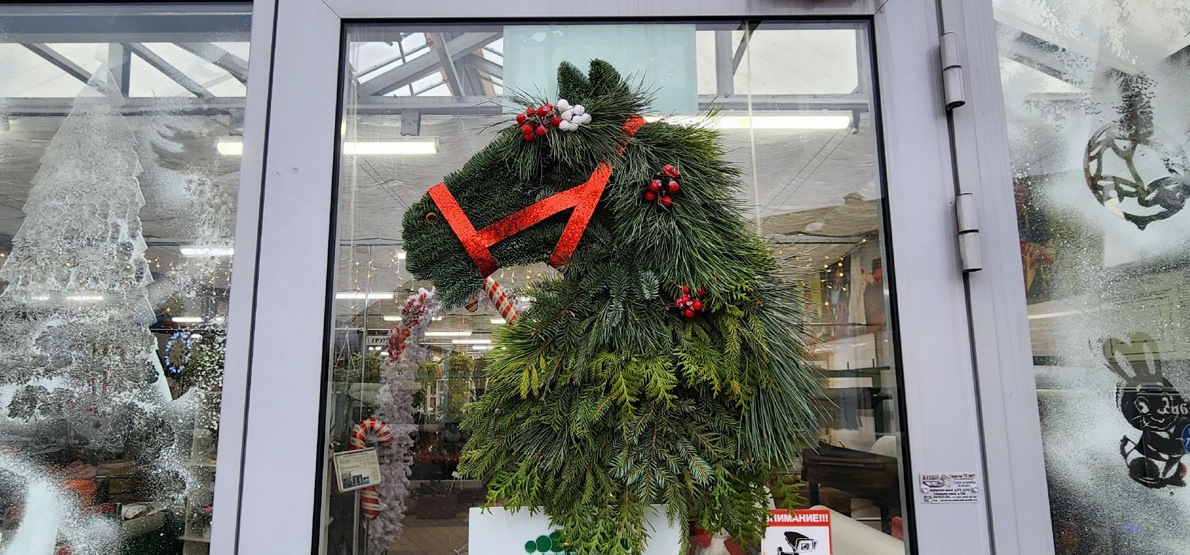 Химки, Елки, Новый год,