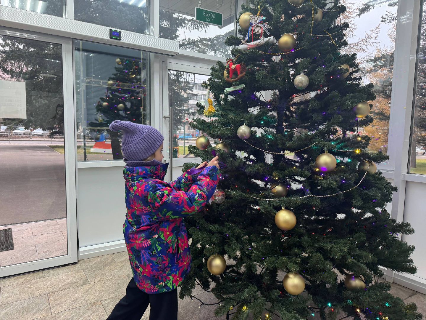 можайск, можайский муниципальный округ, подмосковье, елка желаний, общество, благотворительные акции, новый год, новогоднее чудо,