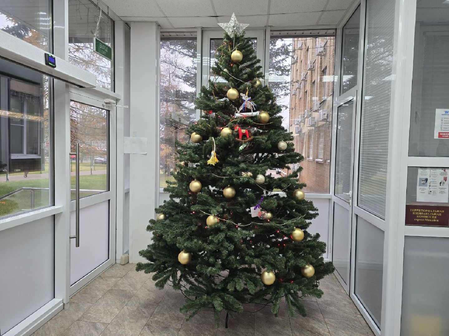можайск, можайский муниципальный округ, подмосковье, елка желаний, общество, благотворительные акции, новый год, новогоднее чудо,