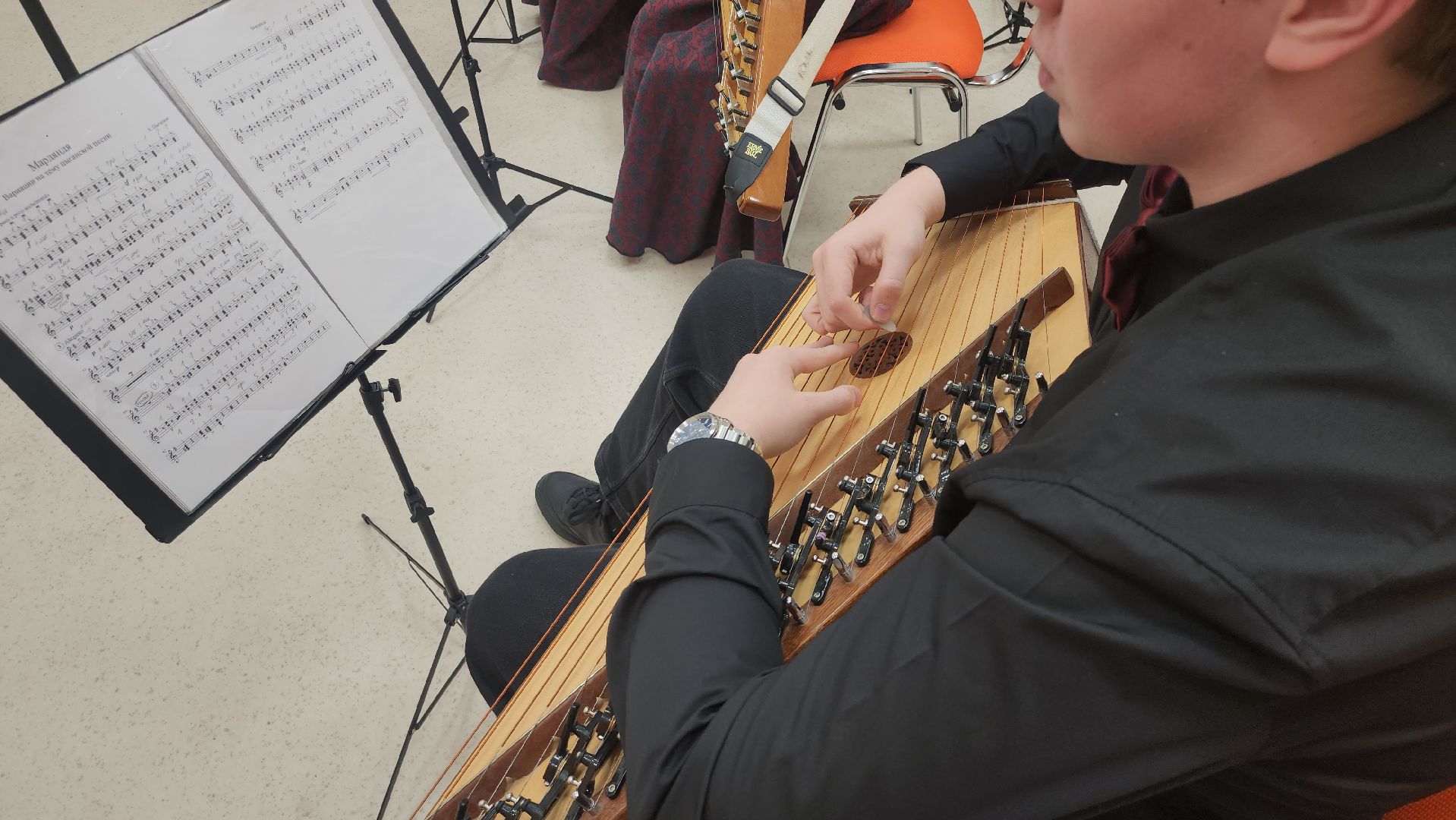 гусли, красногорск, музыкальная школа,