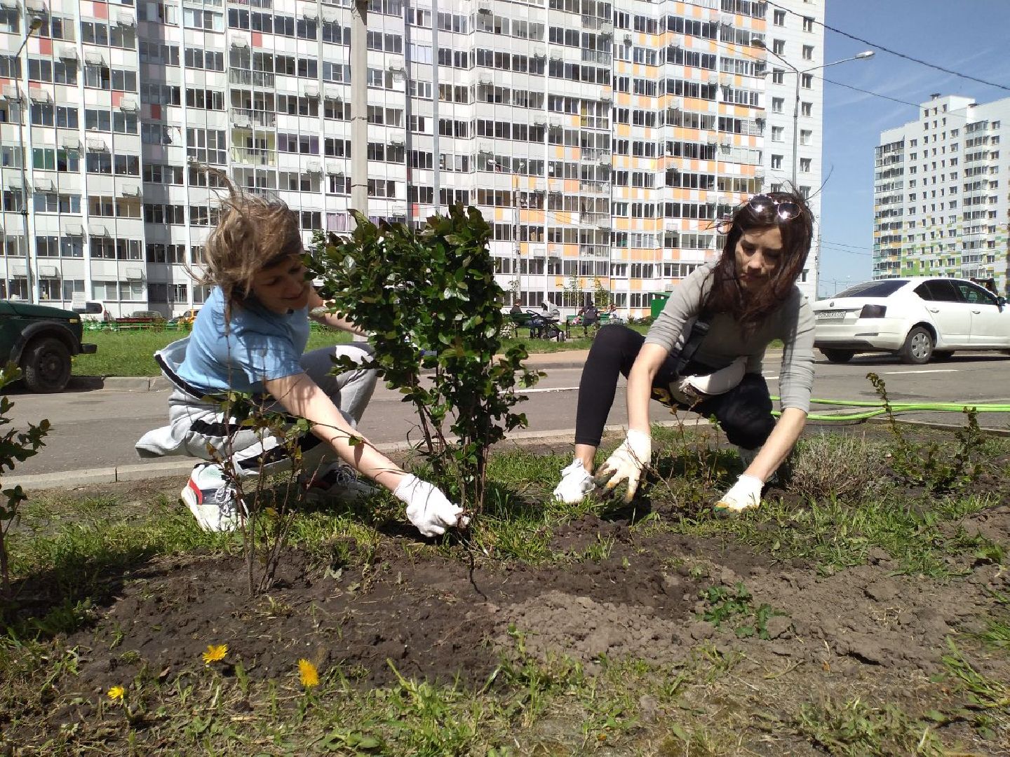 благоустройство, управляющая компания, Лосино-Петровский