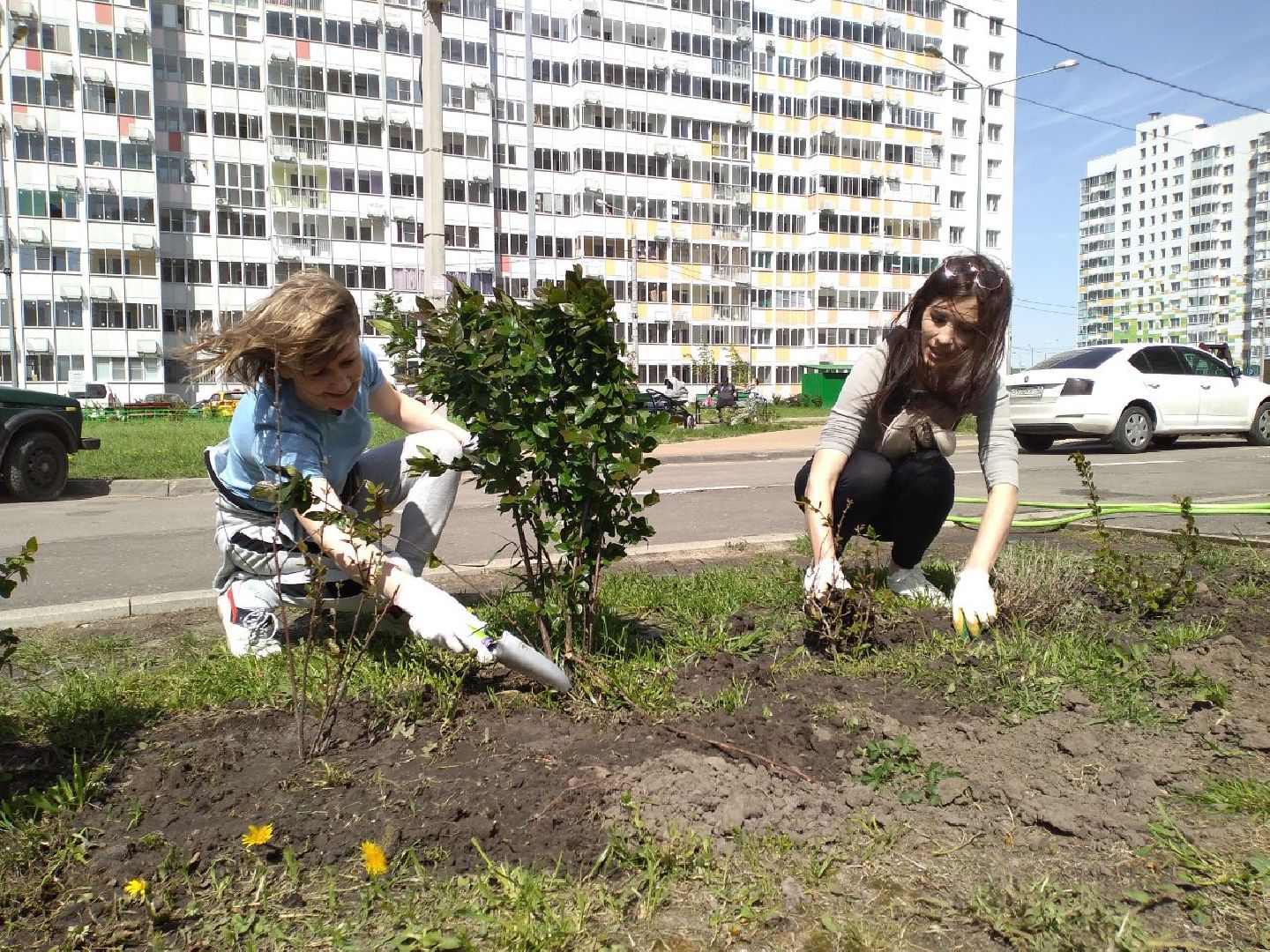 благоустройство, управляющая компания, Лосино-Петровский