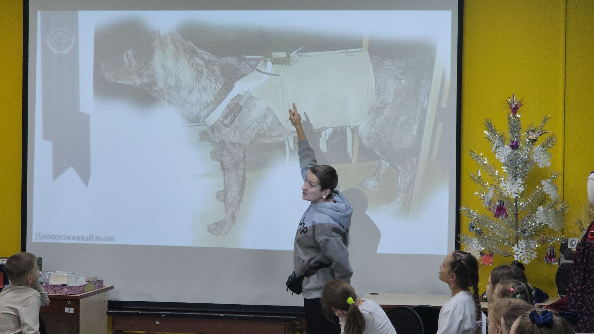 долгопрудный, кинологи, x-легион, шипперке, бельгийская овчарка, фронтовая собака, собака-диверсант,