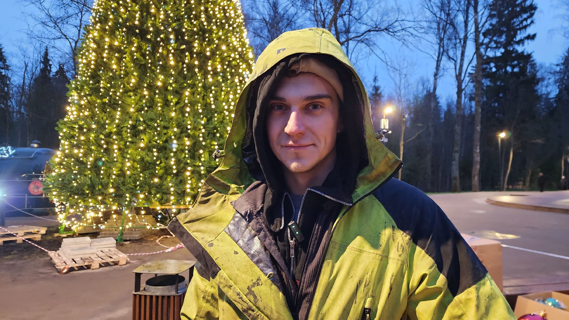 истра, лесопарк, подготовка к новогодним праздникам,