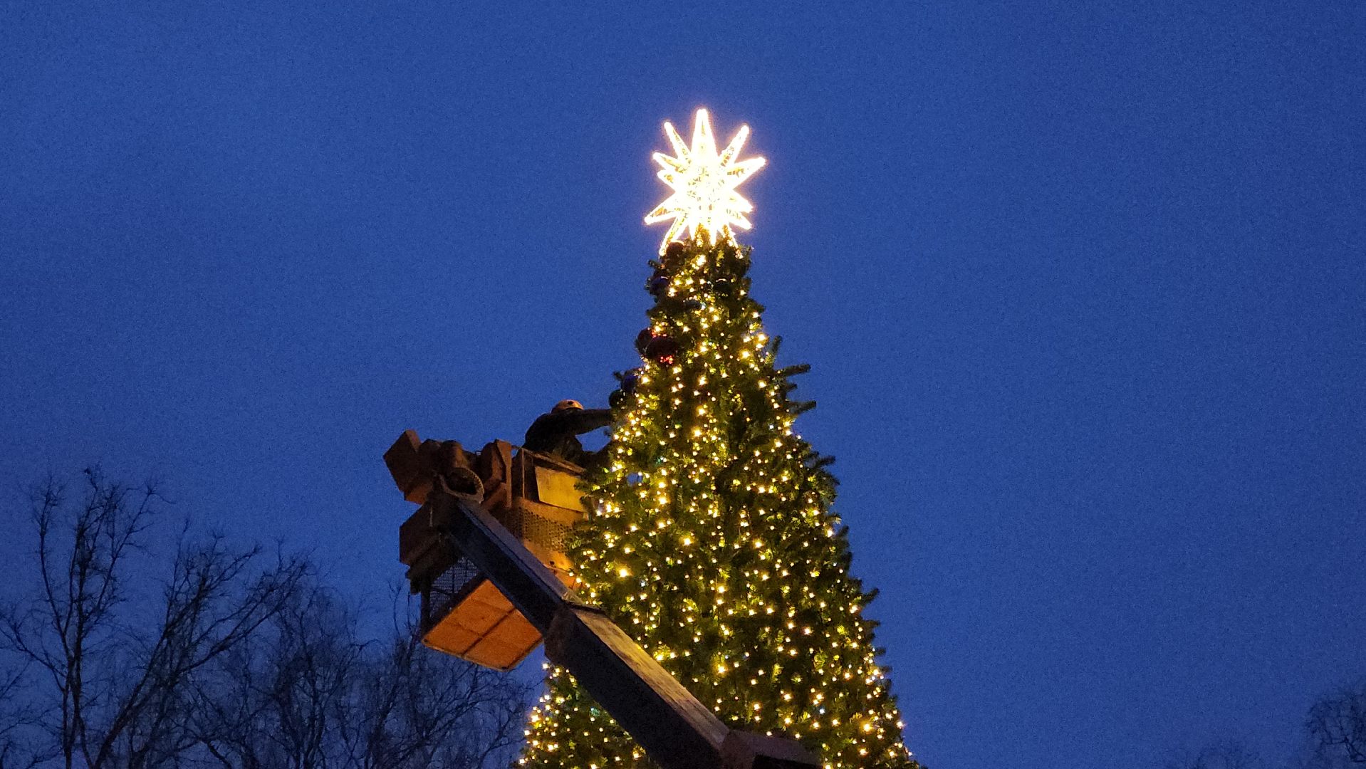 истра, лесопарк, подготовка к новогодним праздникам,