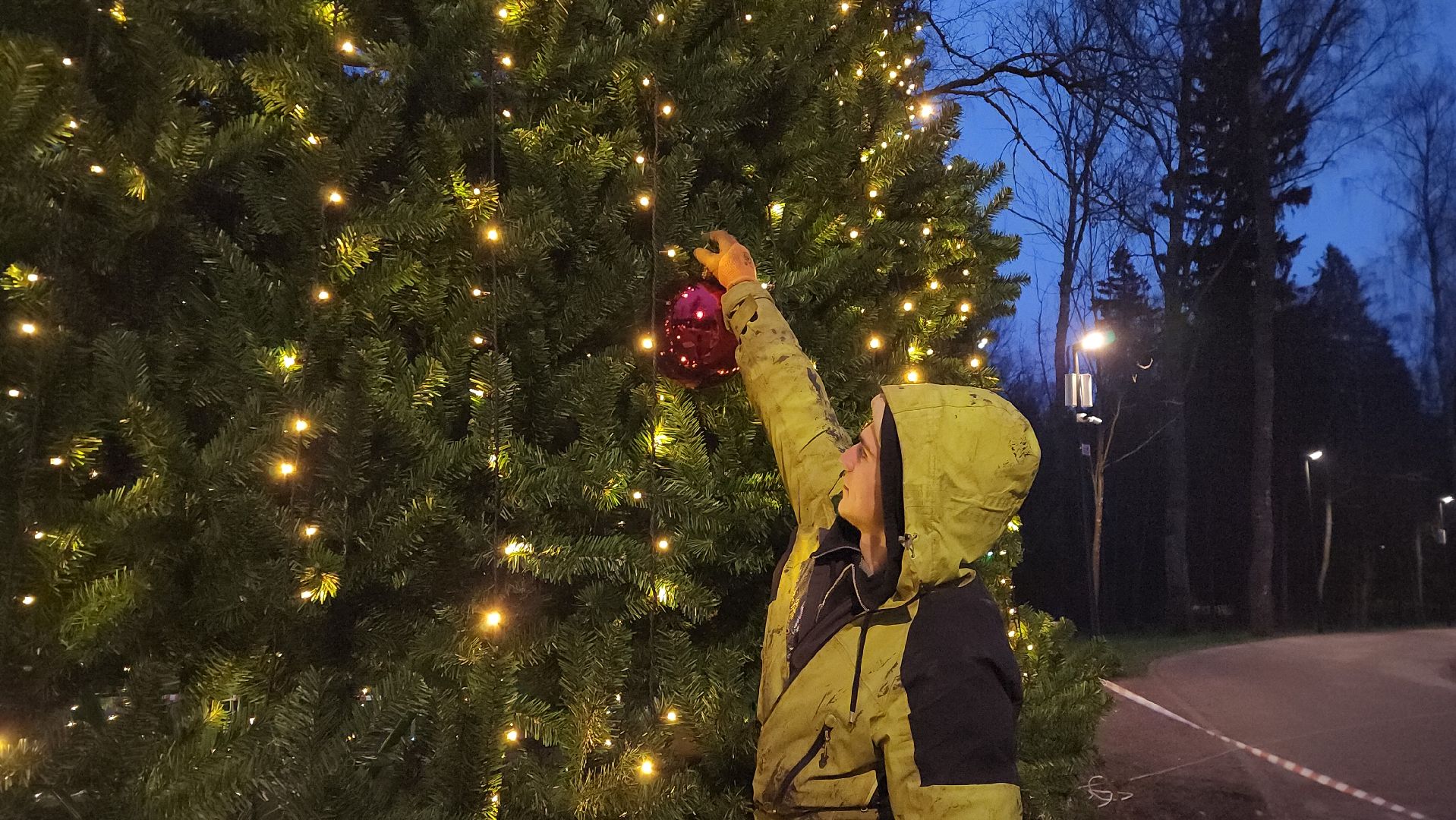 истра, лесопарк, подготовка к новогодним праздникам,