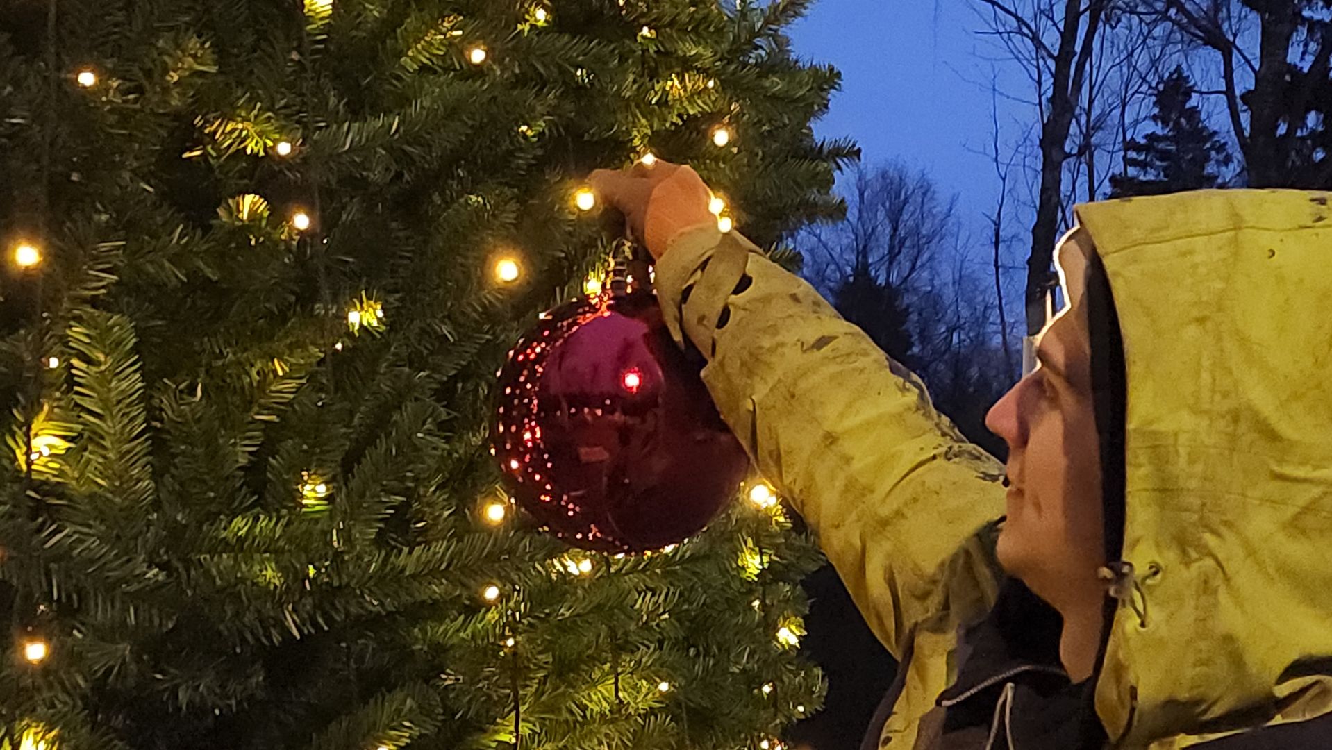 истра, лесопарк, подготовка к новогодним праздникам,