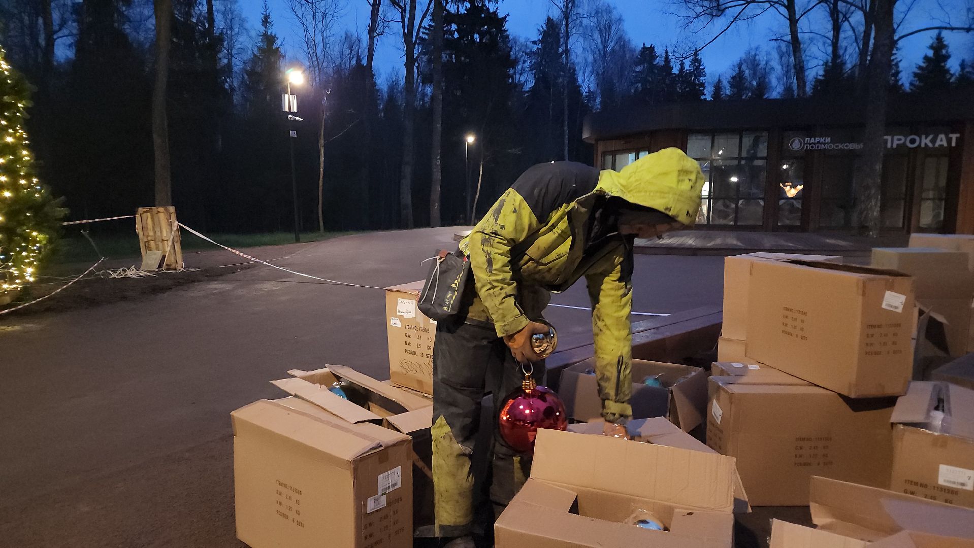 истра, лесопарк, подготовка к новогодним праздникам,