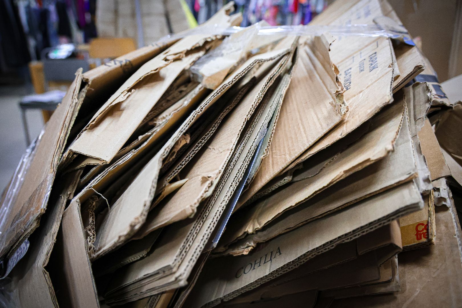 клин, общество, экология, сбор макулатуры,