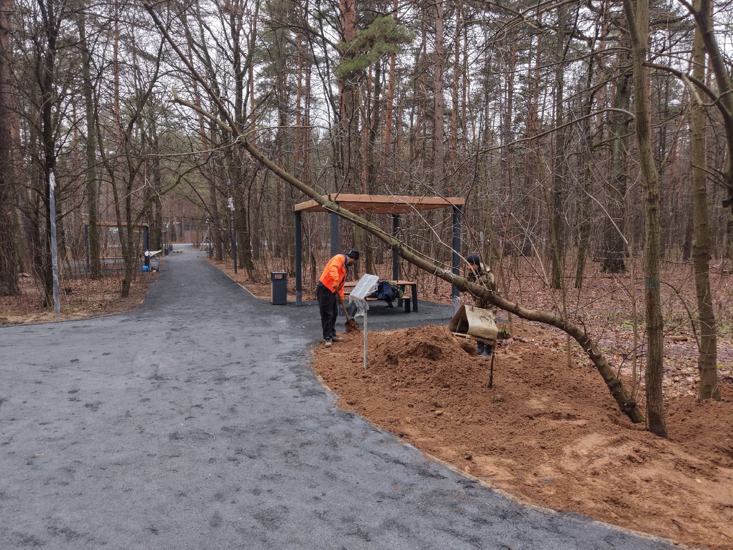 видео с коптера, томилинский лесопарк, лесопарк в люберцах,