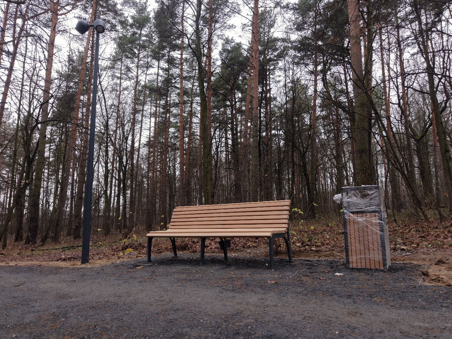 видео с коптера, томилинский лесопарк, лесопарк в люберцах,