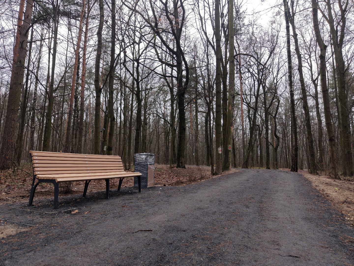 видео с коптера, томилинский лесопарк, лесопарк в люберцах,