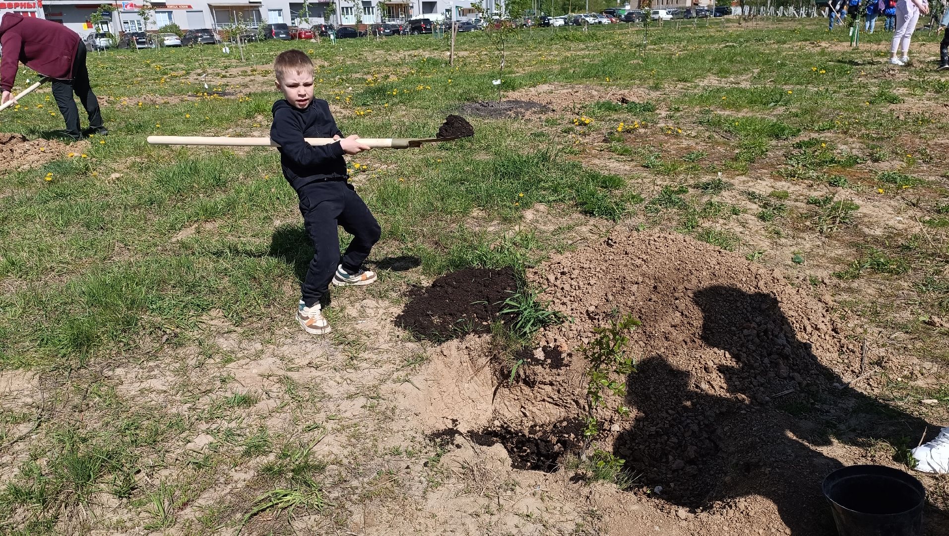 Лобня, экология, лес победы