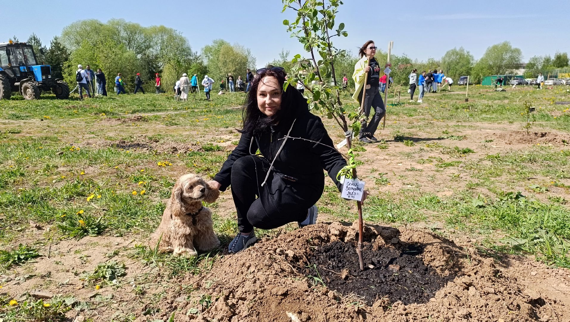 Лобня, экология, лес победы