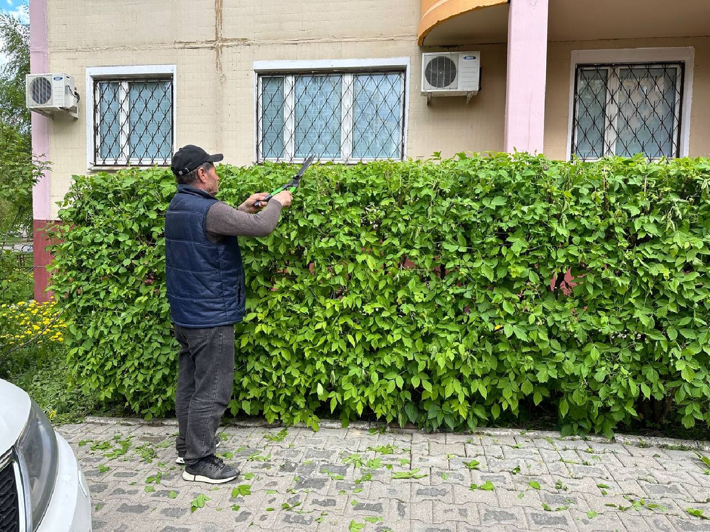 Реутов, ЖКХ, управляющие компании, покос травы, газоны, кустарники