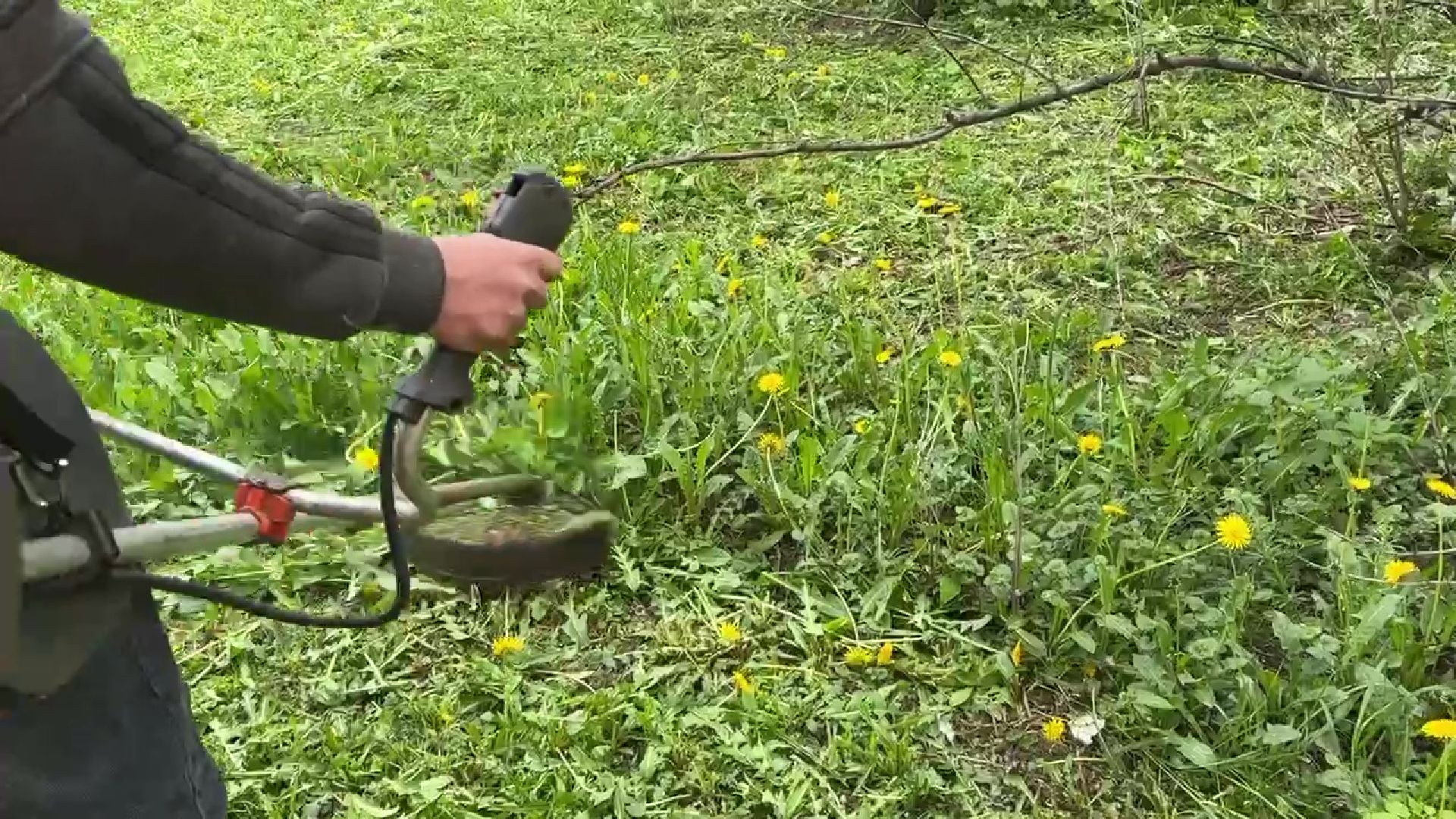 Реутов, ЖКХ, управляющие компании, покос травы, газоны, кустарники