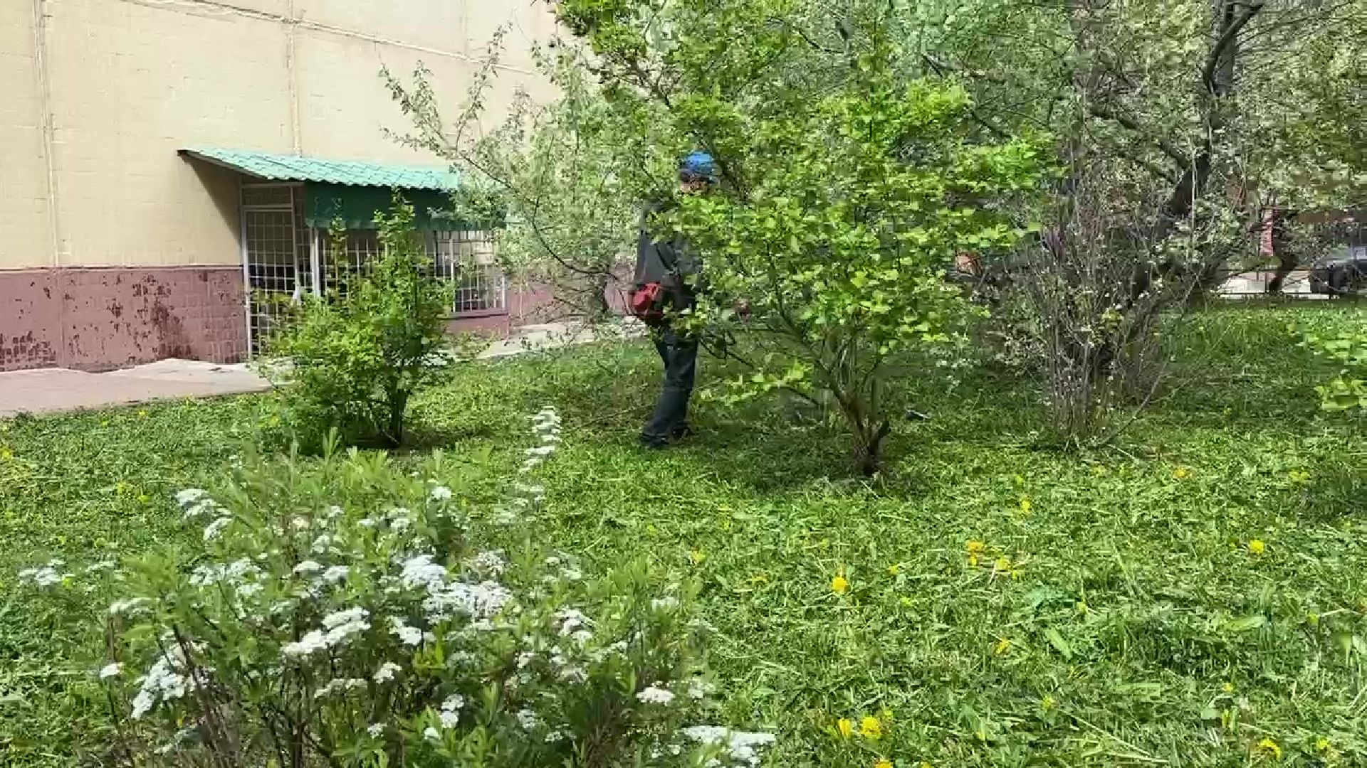 Реутов, ЖКХ, управляющие компании, покос травы, газоны, кустарники