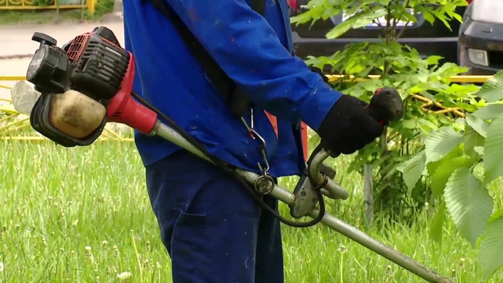 Реутов, ЖКХ, управляющие компании, покос травы, газоны, кустарники