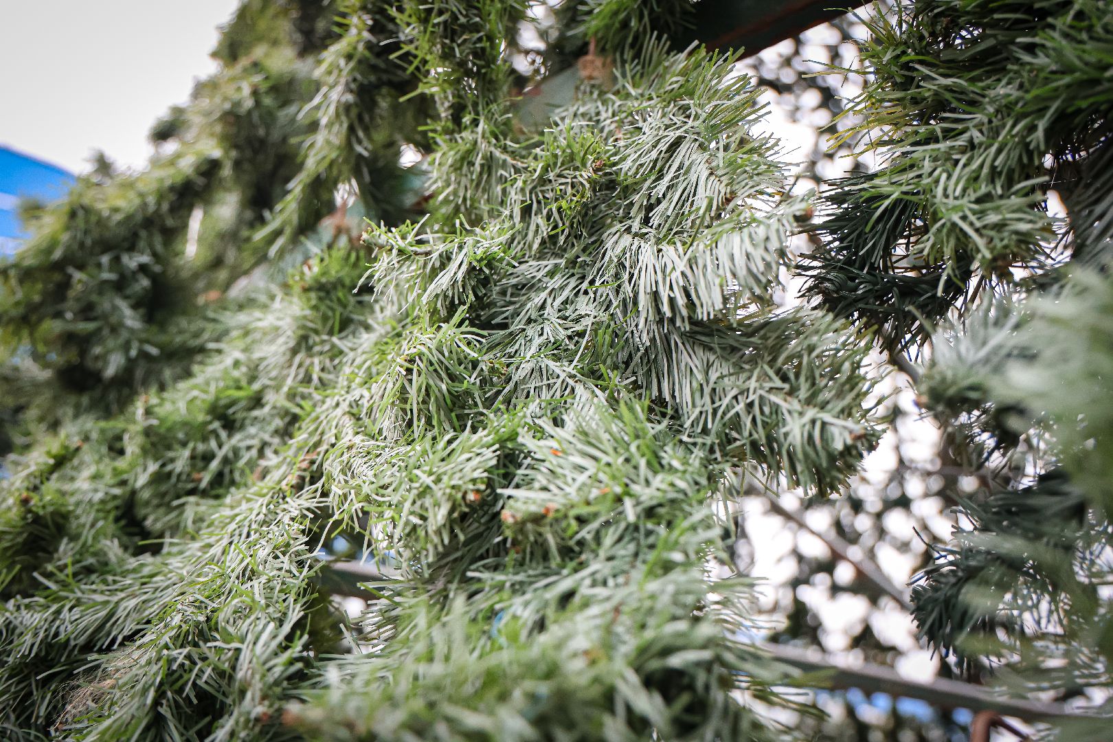 клин, общество, благоустройство, украшение города к новому году,