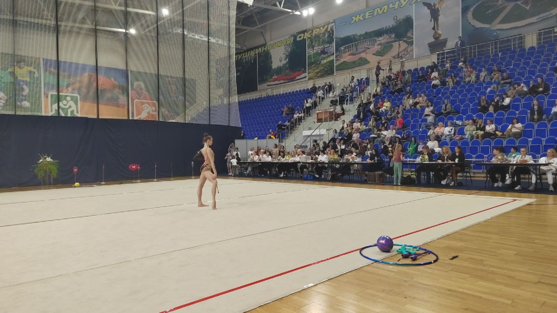 Пушкино, спорт, гимнастика, художественная гимнастика, Цветущий май