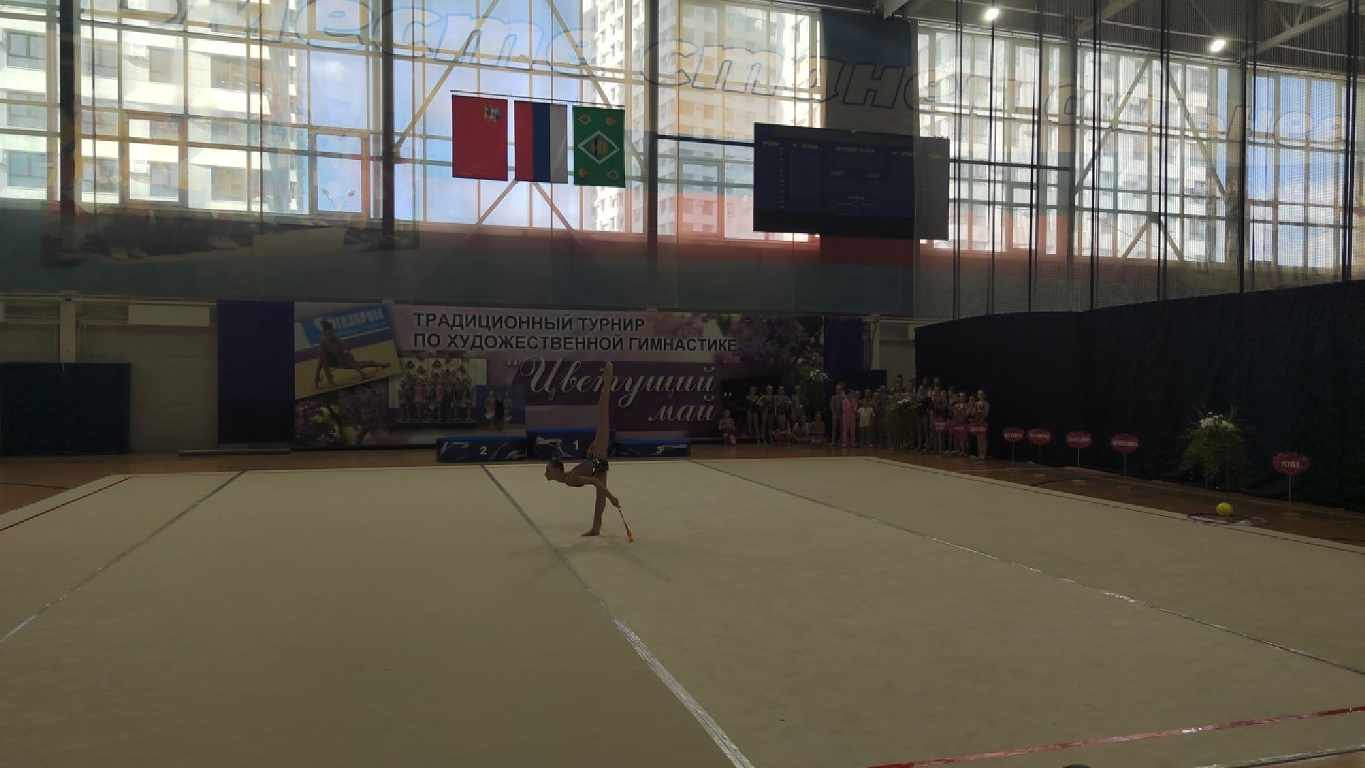 Пушкино, спорт, гимнастика, художественная гимнастика, Цветущий май
