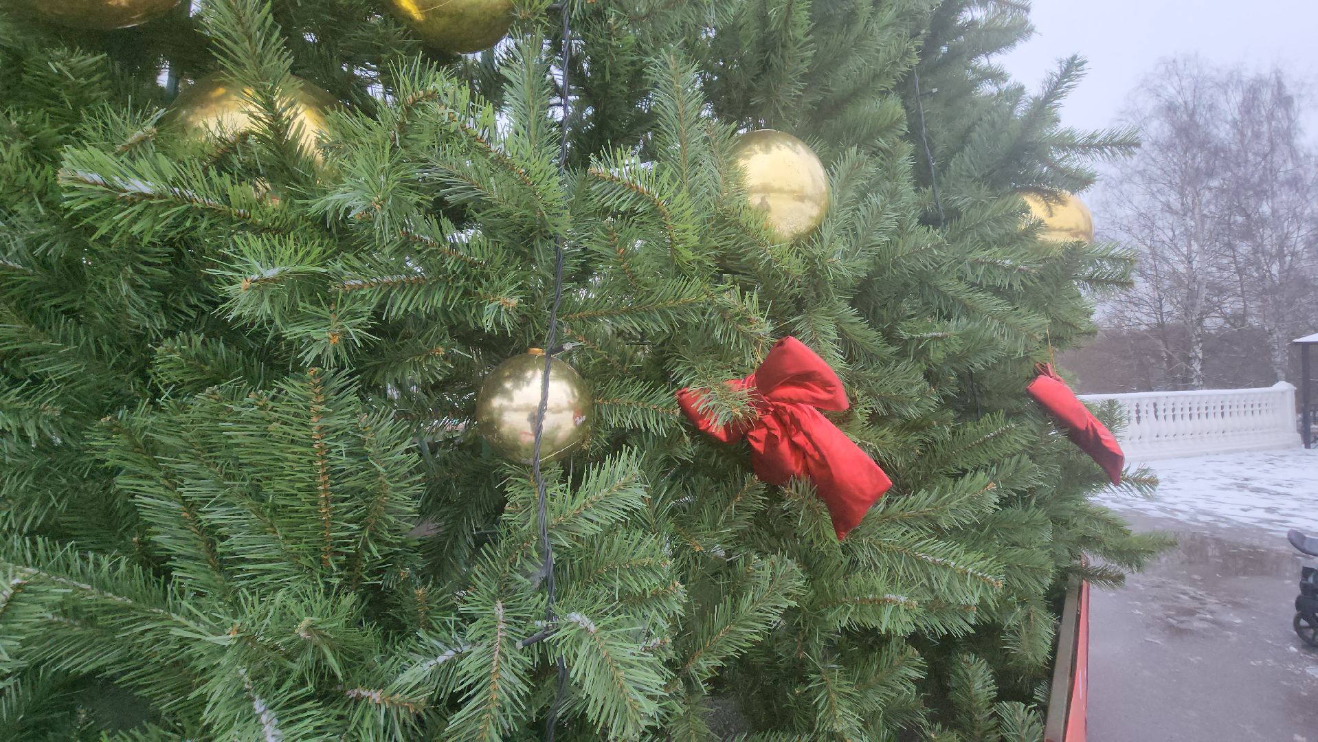 долгопрудный, Почта Деда Мороза, парки, письма, резиденция деда мороза,