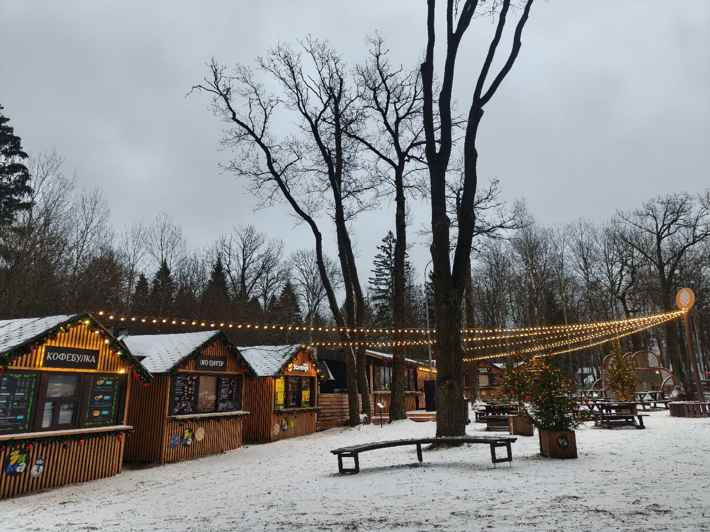 одинцовский парк культуры спорта и отдыха, зима в  подмосковье, зимнее меню, парки,