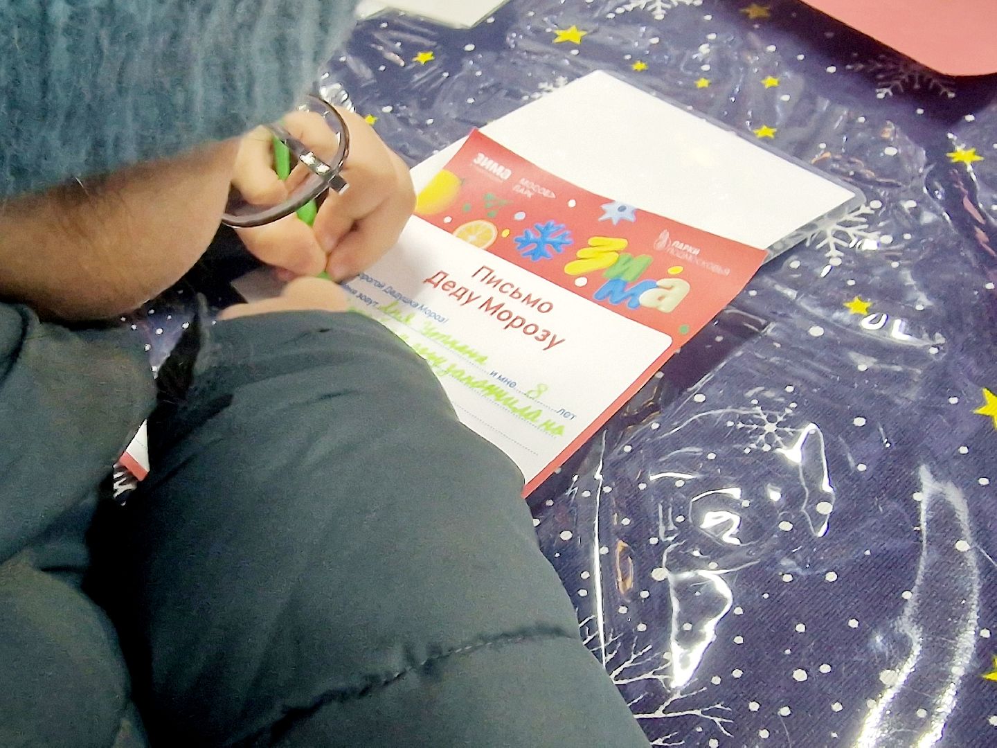 воскресенск, кривякино, резиденция деда мороза,