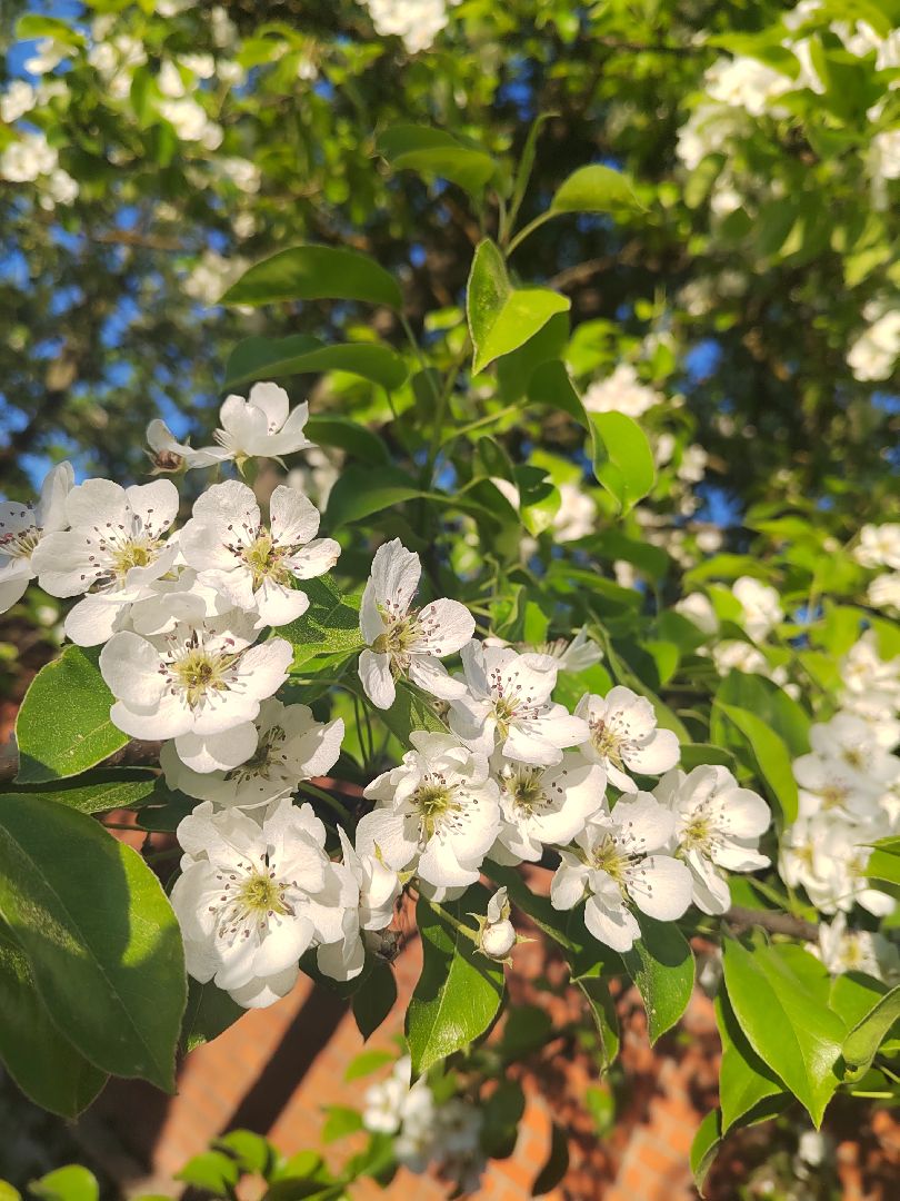 Пушкино, весна в Подмосковье, природа, люди
