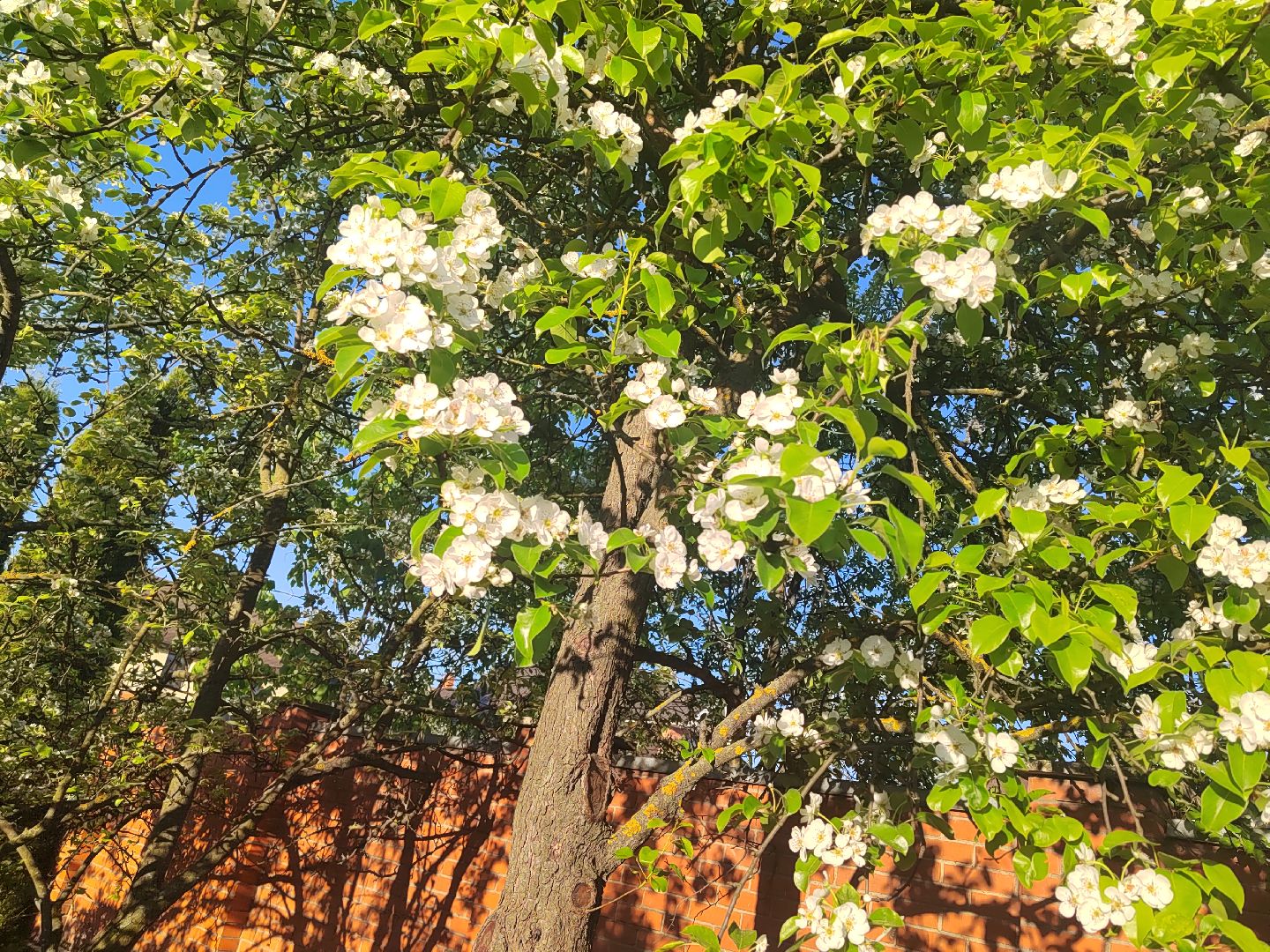 Пушкино, весна в Подмосковье, природа, люди