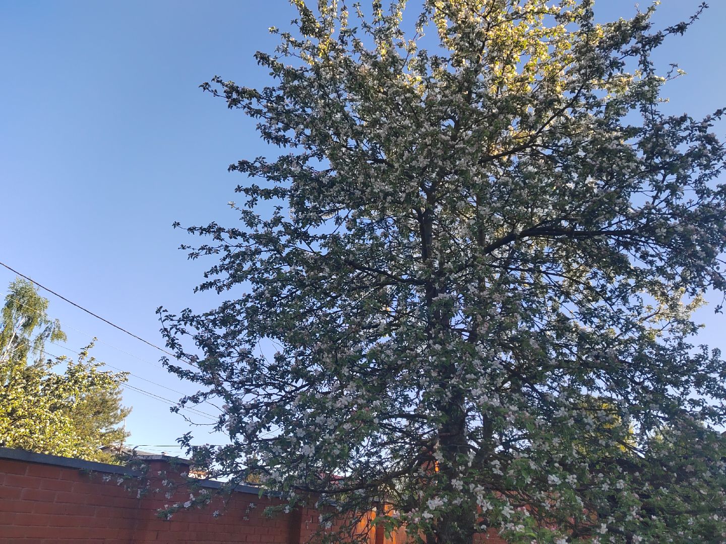 Пушкино, весна в Подмосковье, природа, люди