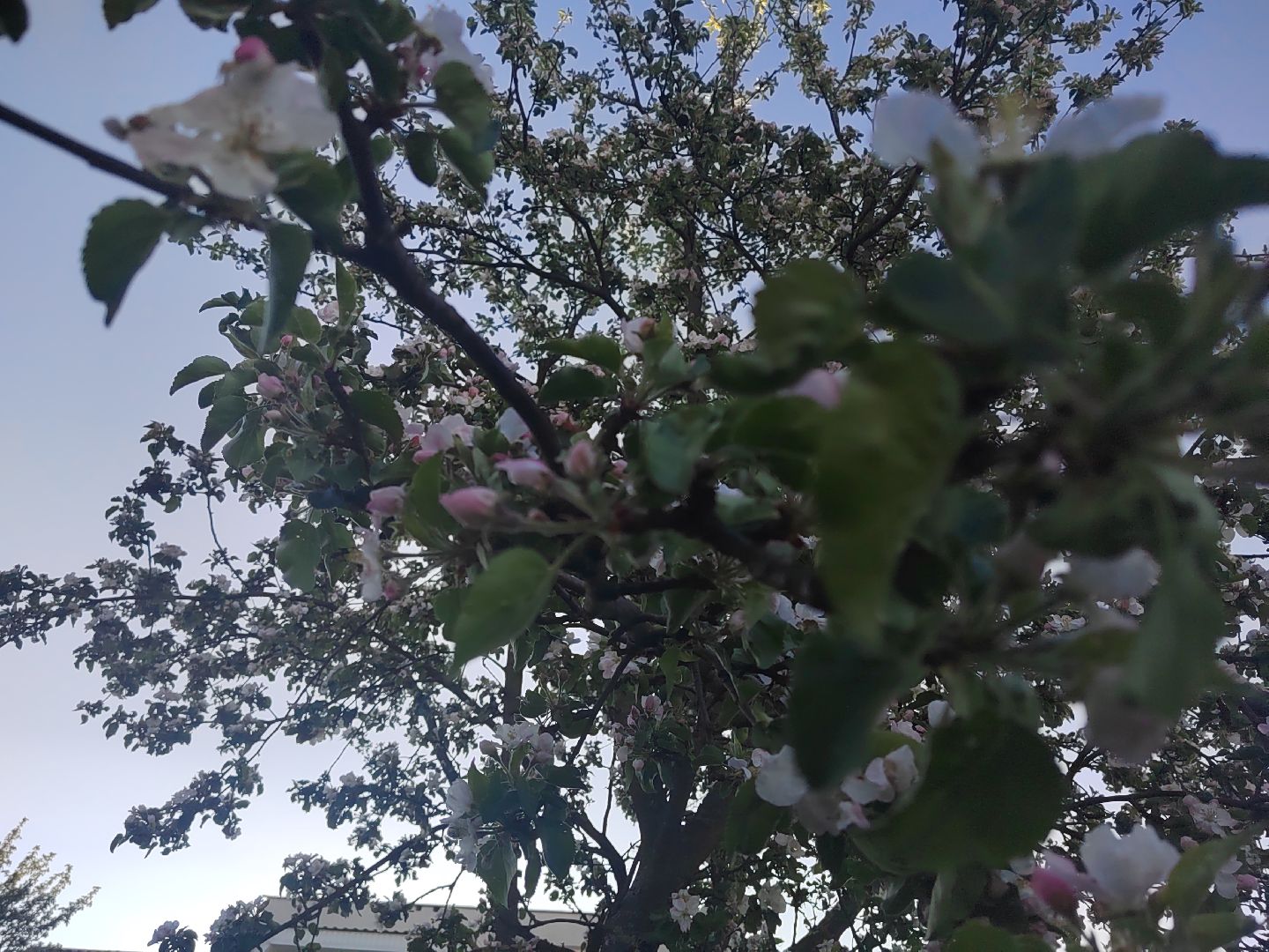 Пушкино, весна в Подмосковье, природа, люди