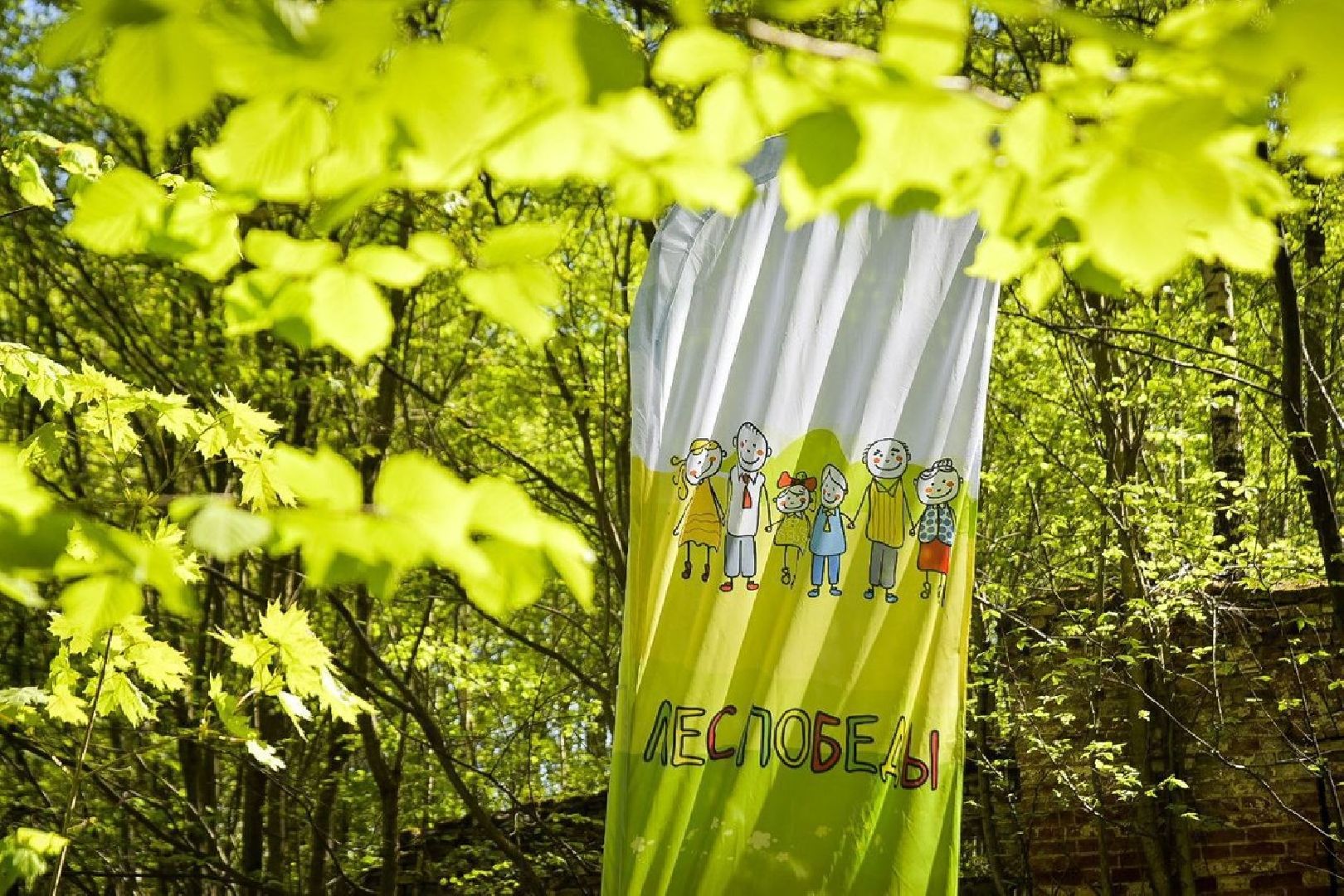 Солнечногорск, леспобеды, акция, деревья, ветераны