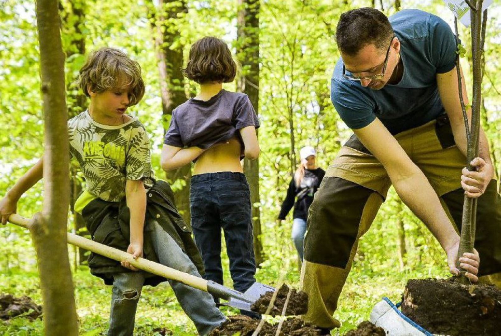 Солнечногорск, леспобеды, акция, деревья, ветераны