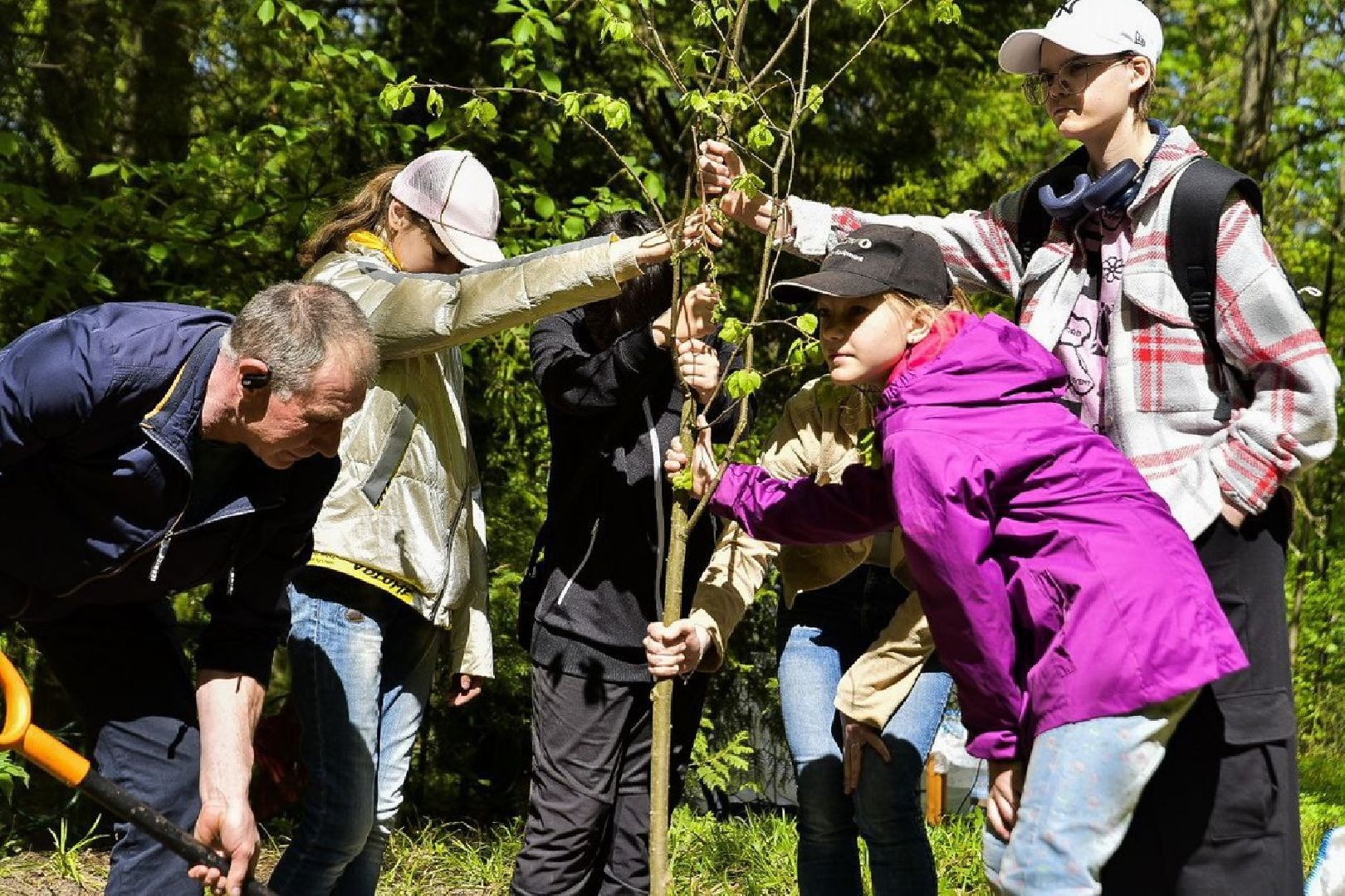 Солнечногорск, леспобеды, акция, деревья, ветераны