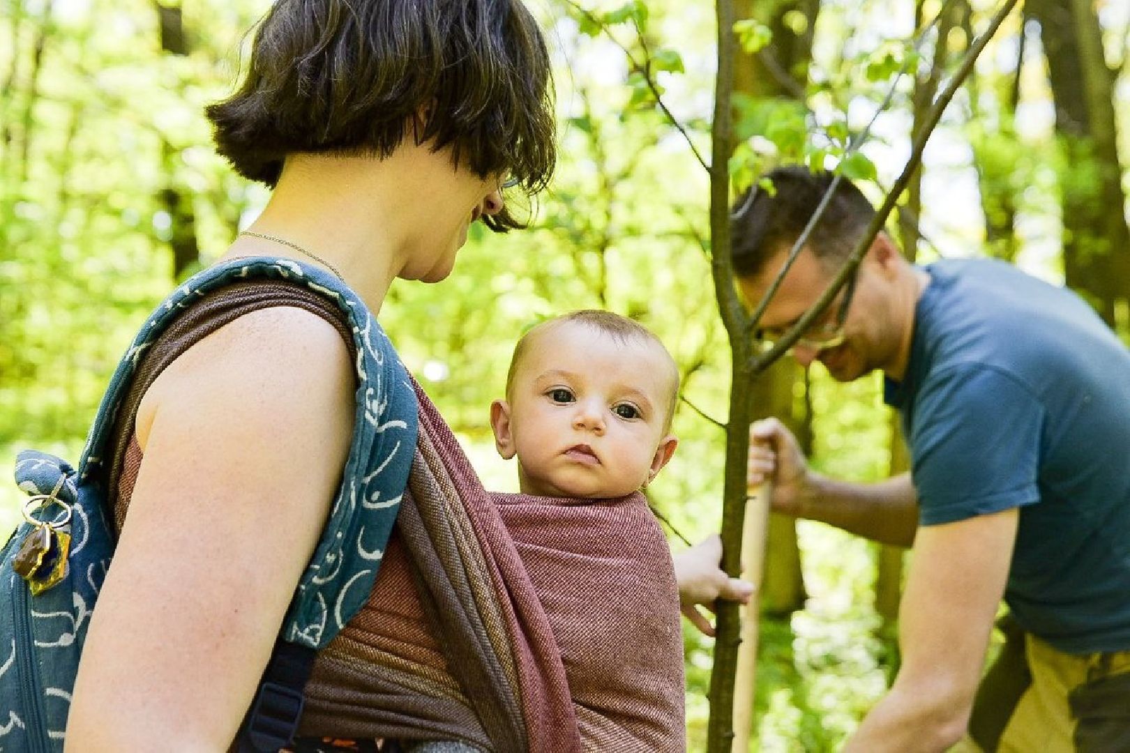 Солнечногорск, леспобеды, акция, деревья, ветераны