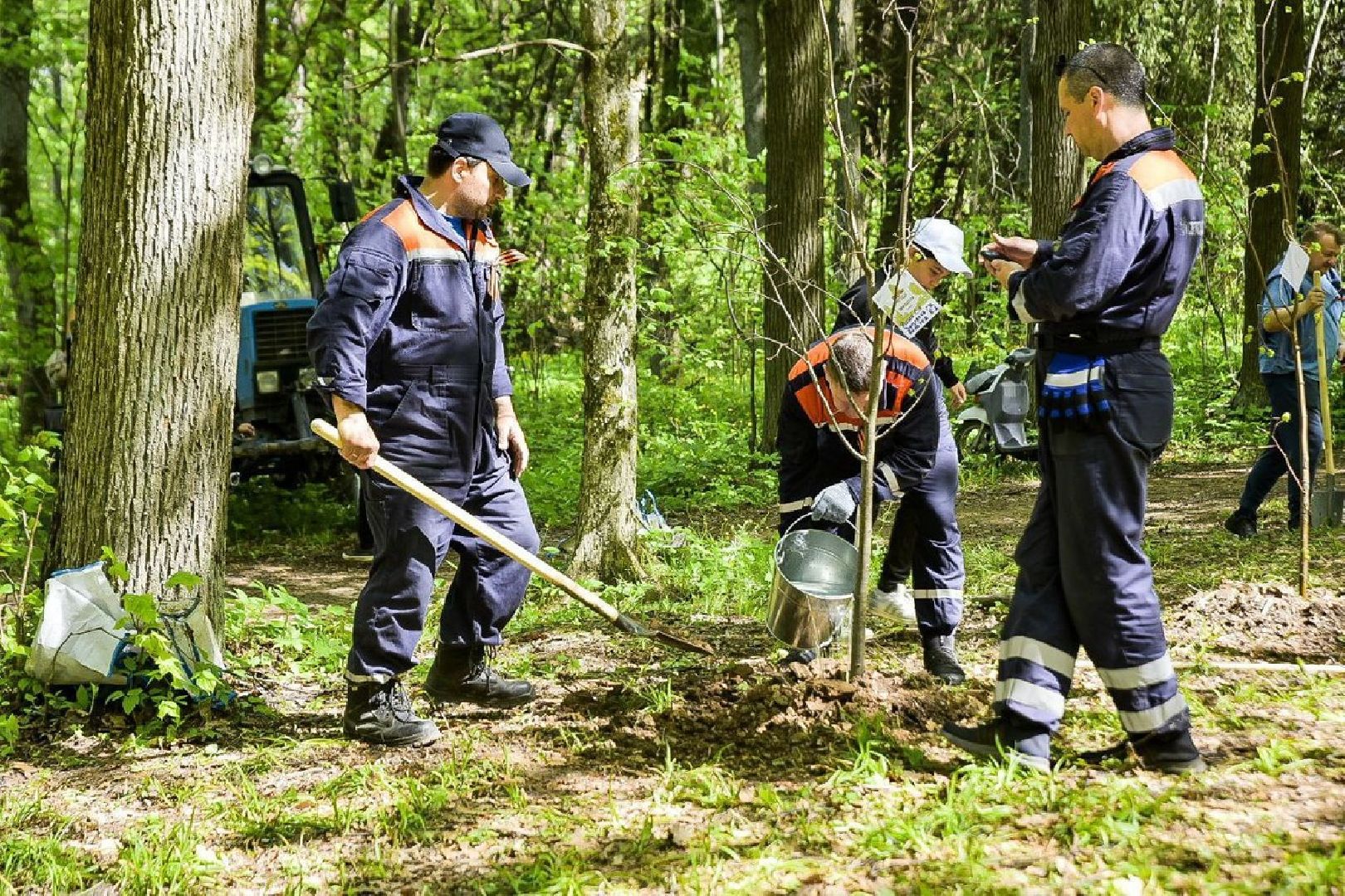 Солнечногорск, леспобеды, акция, деревья, ветераны