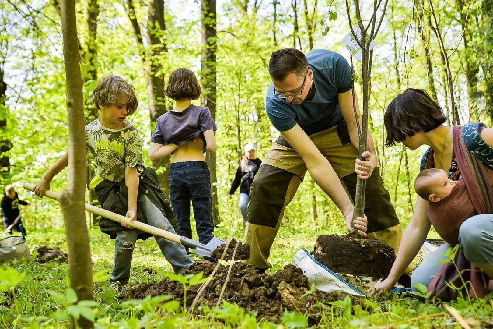 Солнечногорск, леспобеды, акция, деревья, ветераны
