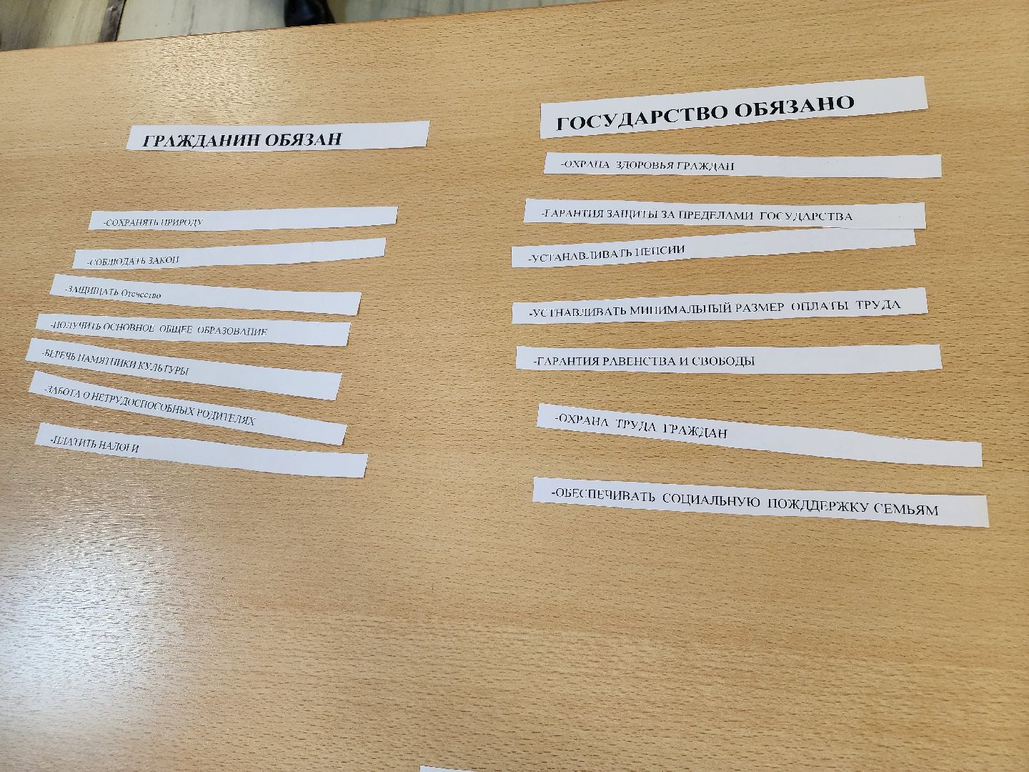 Подольск , студенты, день конституции,