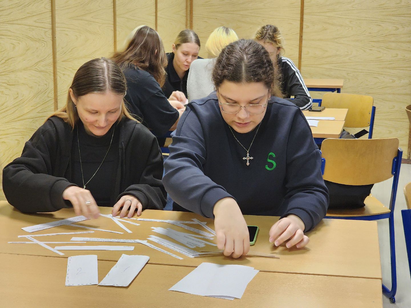 Подольск , студенты, день конституции,