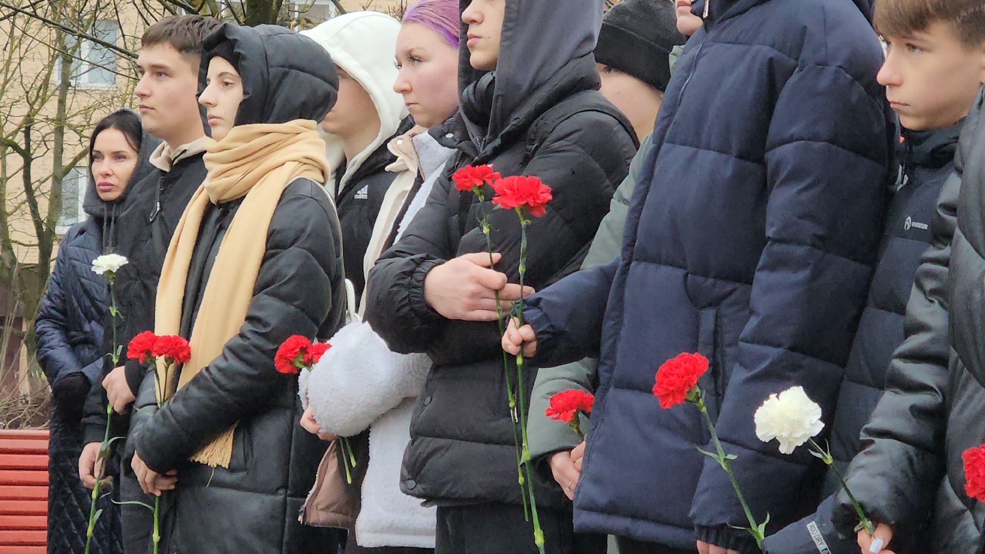 истра, митинг, освобождение города,