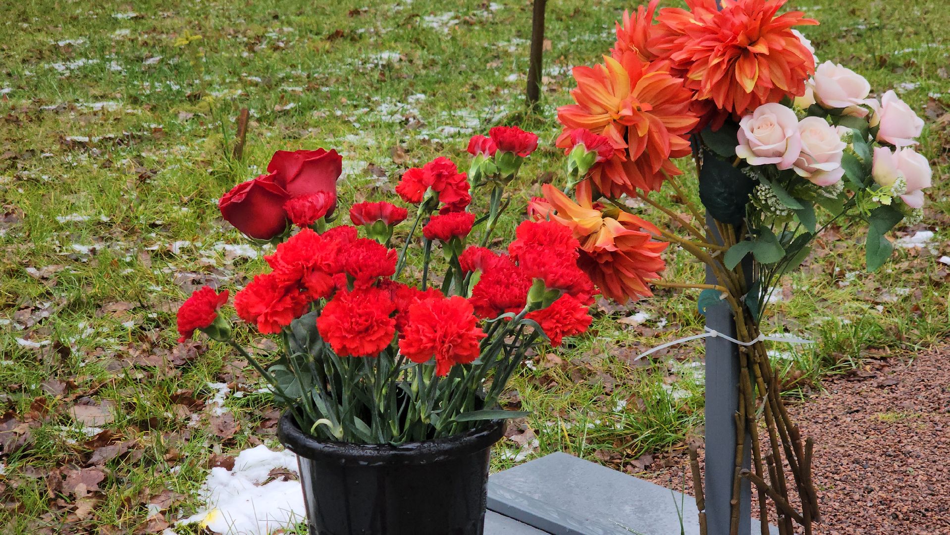 фрязино, Новые мемориальные доски, торжественное открытие,