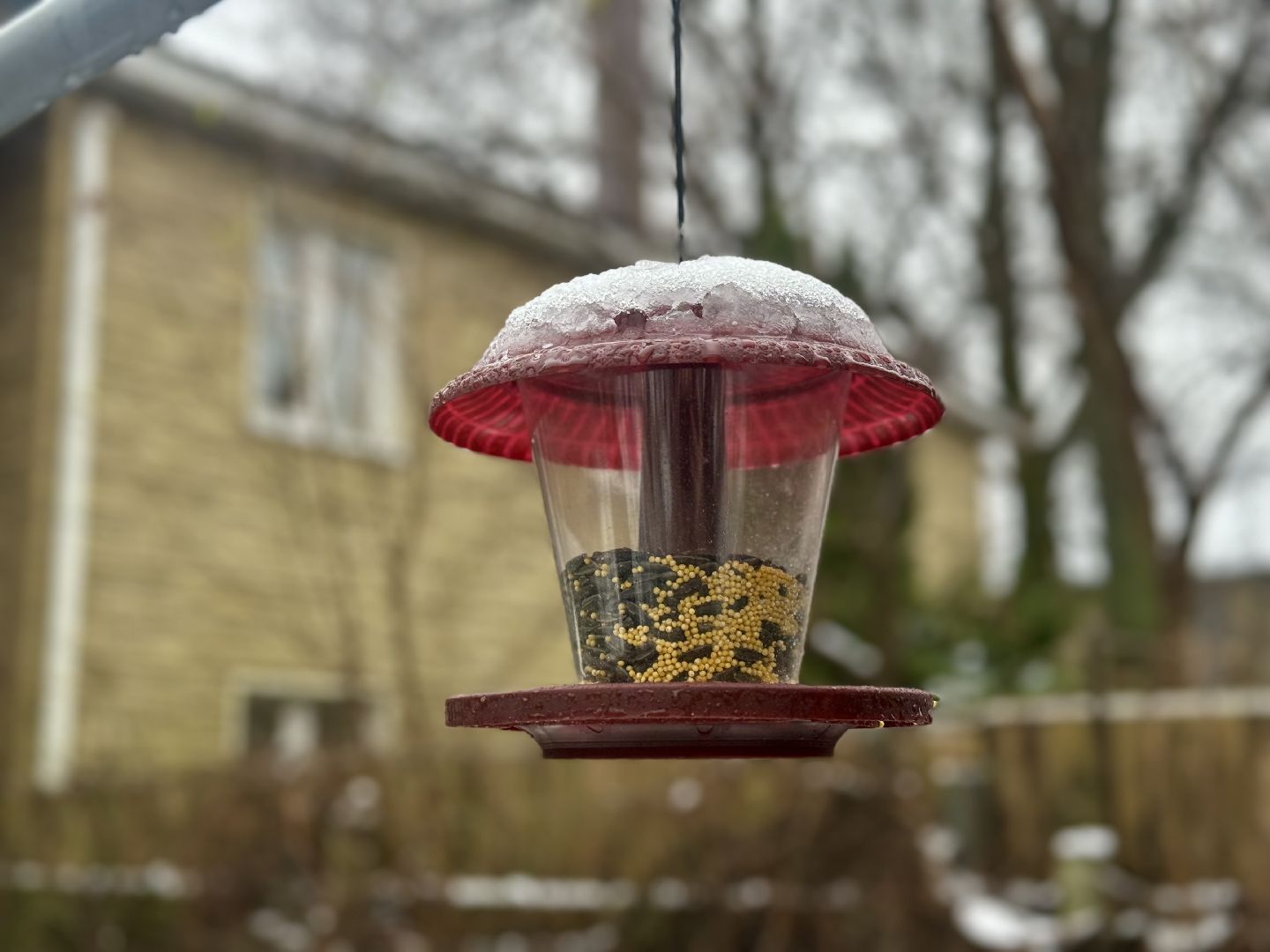 зимующие птицы, кормушки для птиц, эколог, ленинский округ,