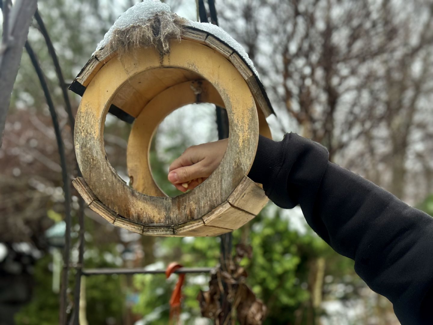 зимующие птицы, кормушки для птиц, эколог, ленинский округ,