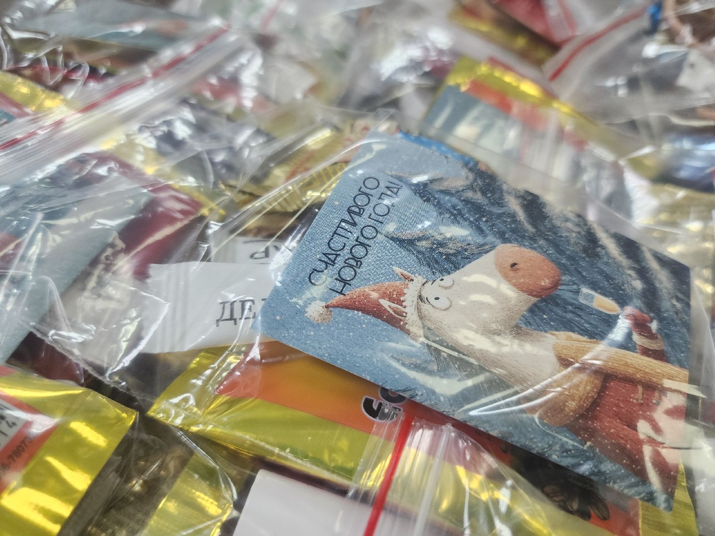 Павловский Посад , гуманирная помощь, новый год,