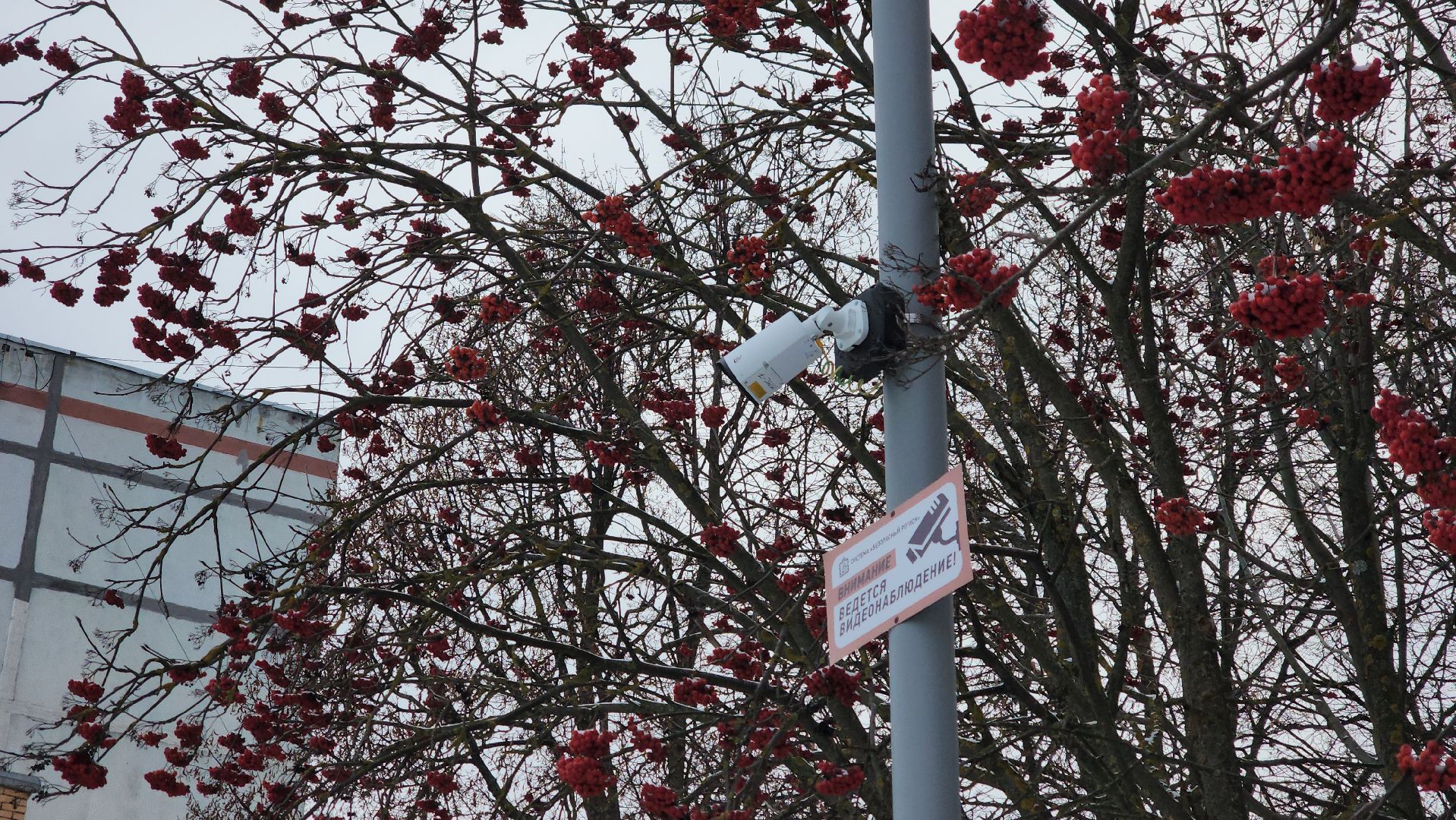 кашира, благоустройство, сквер, общественное пространство, молодежь,