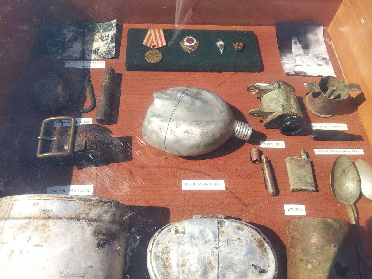 Дмитров, ЦЗВС, Спорт, Минспорта МО