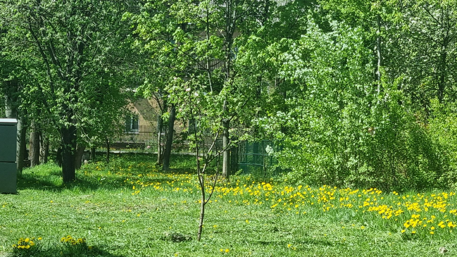Подмосковье, Ивантеевка, благоустройство, парки Подмосковья