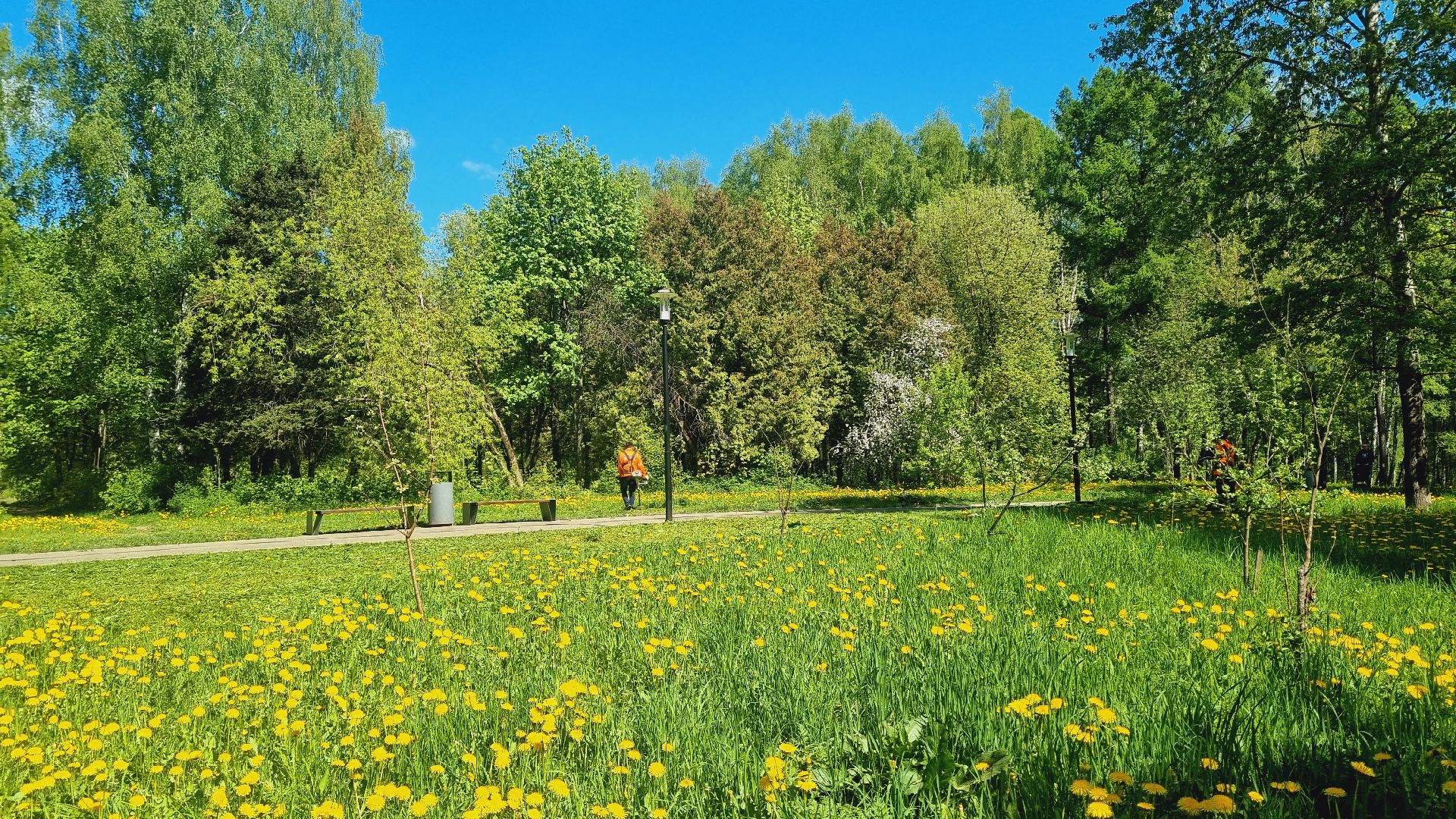 Подмосковье, Ивантеевка, благоустройство, парки Подмосковья